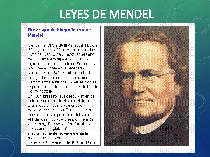 LEYES DE MENDEL 