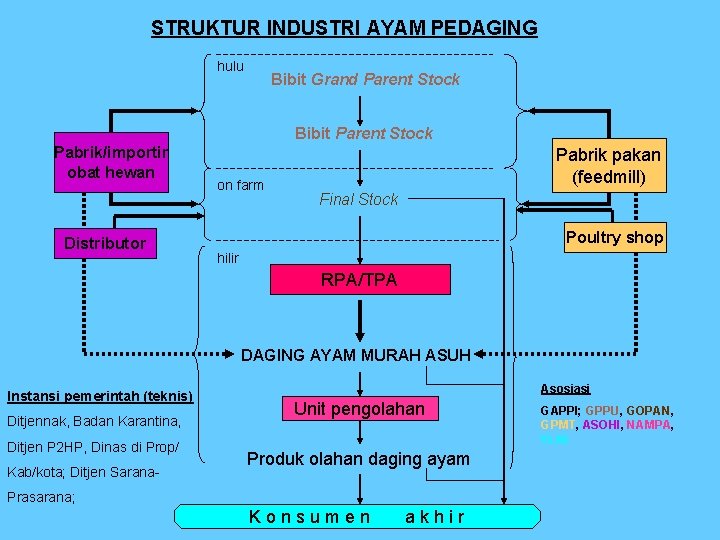 STRUKTUR INDUSTRI AYAM PEDAGING hulu Bibit Grand Parent Stock Bibit Parent Stock Pabrik/importir obat