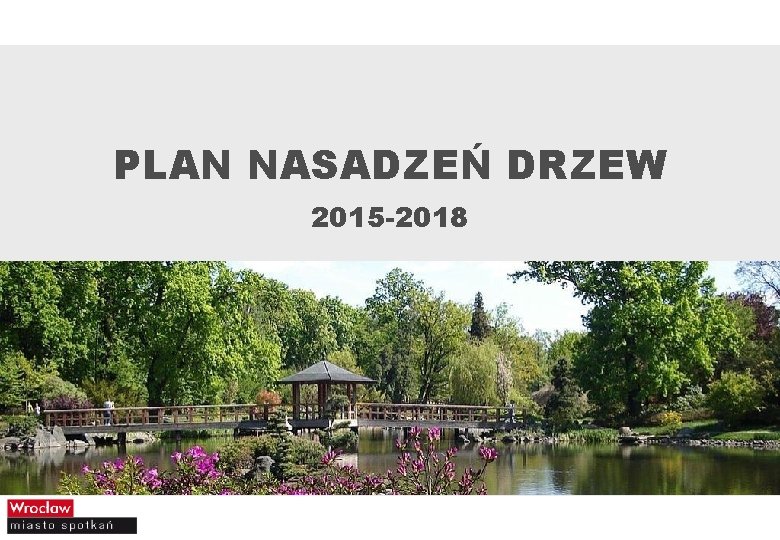 PLAN NASADZEŃ DRZEW 2015 -2018 