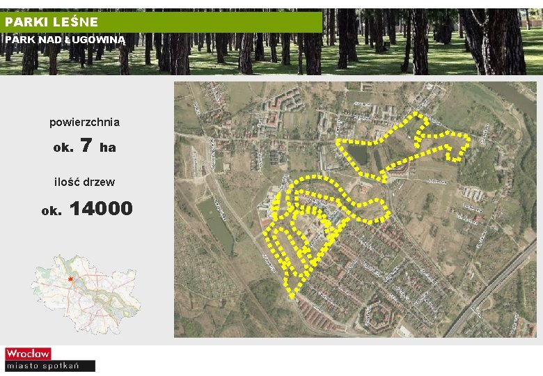 PARKI LEŚNE PARK NAD ŁUGOWINĄ powierzchnia ok. 7 ha ilość drzew ok. 14000 