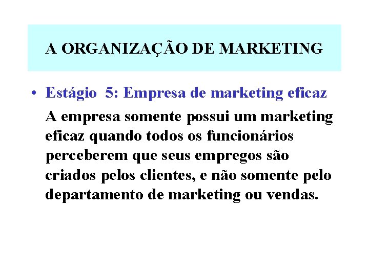 A ORGANIZAÇÃO DE MARKETING • Estágio 5: Empresa de marketing eficaz A empresa somente