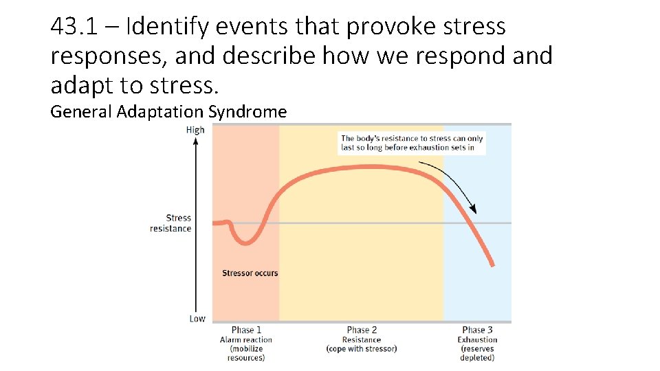 43. 1 – Identify events that provoke stress responses, and describe how we respond 43. 1 – Identify events that provoke stress responses, and describe how we respond