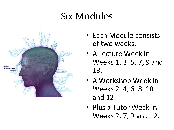 Six Modules • Each Module consists of two weeks. • A Lecture Week in