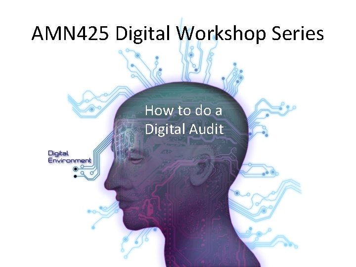 AMN 425 Digital Workshop Series How to do a Digital Audit 