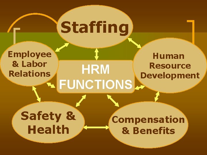 Staffing Employee & Labor Relations HRM FUNCTIONS Safety & Health Human Resource Development Compensation Staffing Employee & Labor Relations HRM FUNCTIONS Safety & Health Human Resource Development Compensation