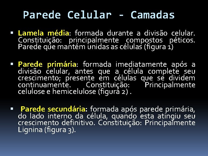 Parede Celular - Camadas Lamela média: formada durante a divisão celular. Constituição: principalmente compostos Parede Celular - Camadas Lamela média: formada durante a divisão celular. Constituição: principalmente compostos