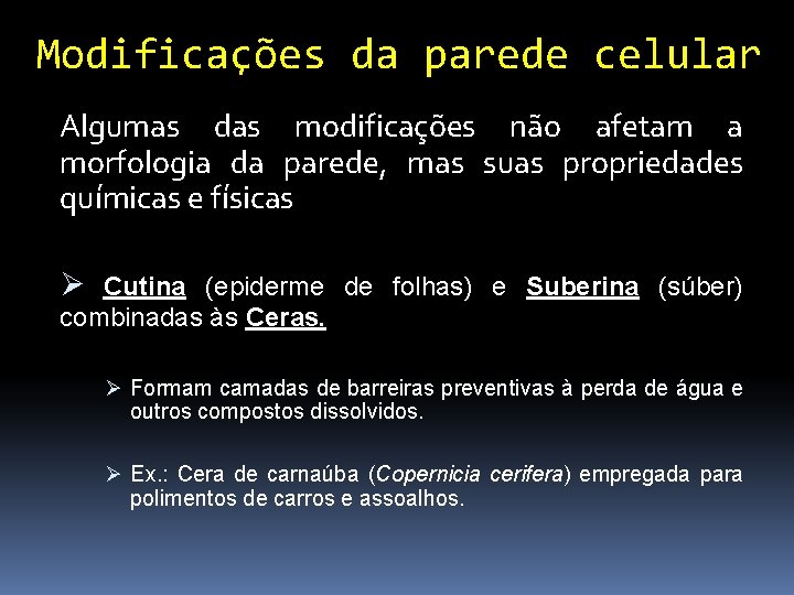 Modificações da parede celular Algumas das modificações não afetam a morfologia da parede, mas Modificações da parede celular Algumas das modificações não afetam a morfologia da parede, mas