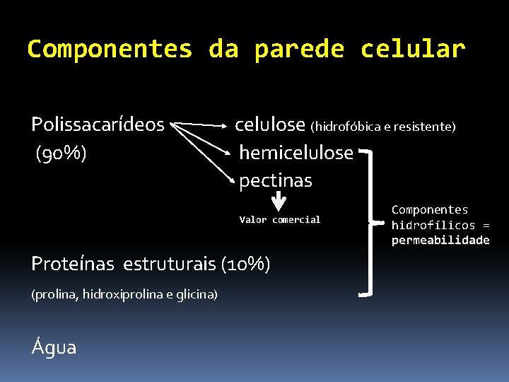 Componentes da parede celular Polissacarídeos (90%) celulose (hidrofóbica e resistente) hemicelulose pectinas Valor comercial Componentes da parede celular Polissacarídeos (90%) celulose (hidrofóbica e resistente) hemicelulose pectinas Valor comercial