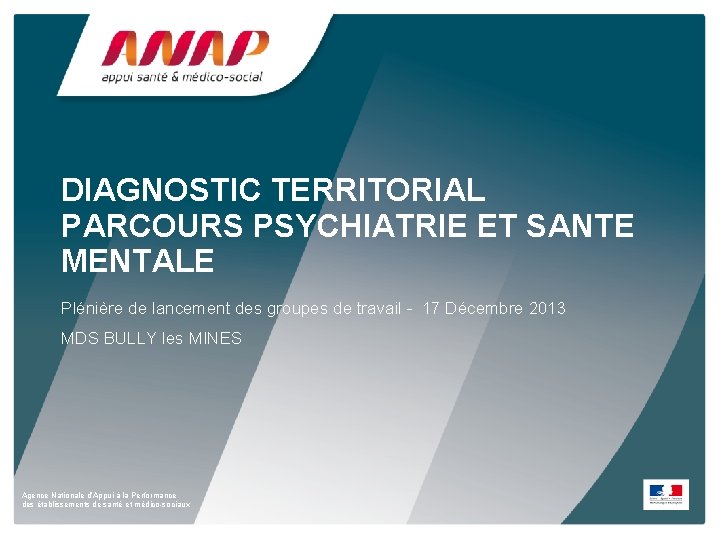 DIAGNOSTIC TERRITORIAL PARCOURS PSYCHIATRIE ET SANTE MENTALE Plénière de lancement des groupes de travail