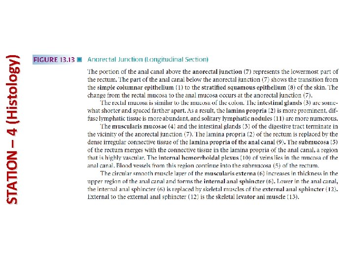STATION – 4 (Histology) 