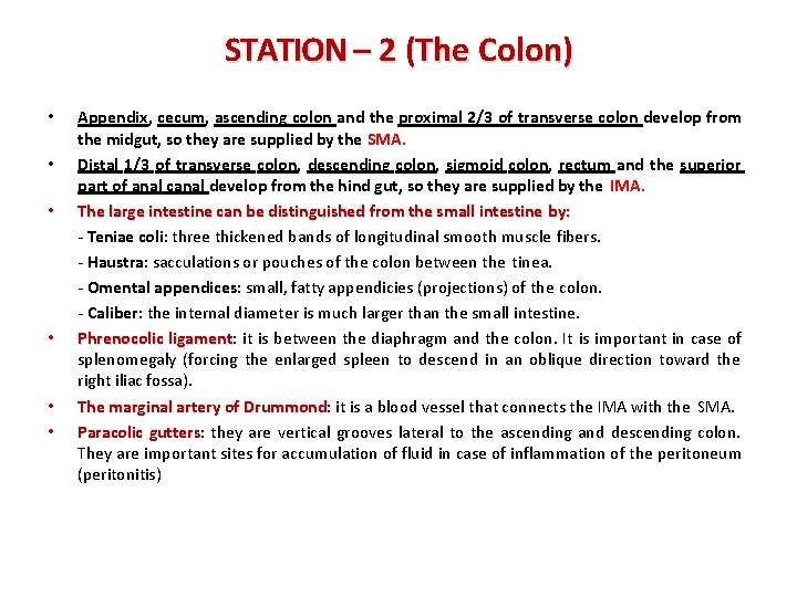 STATION – 2 (The Colon) • • • Appendix, cecum, ascending colon and the