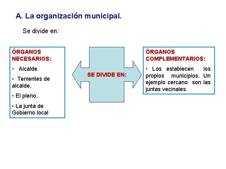 A. La organización municipal. Se divide en: ÓRGANOS NECESARIOS: ÓRGANOS COMPLEMENTARIOS: • Alcalde • A. La organización municipal. Se divide en: ÓRGANOS NECESARIOS: ÓRGANOS COMPLEMENTARIOS: • Alcalde •