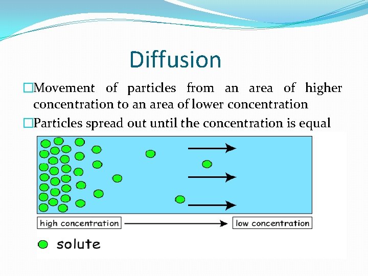 Diffusion �Movement of particles from an area of higher concentration to an area of