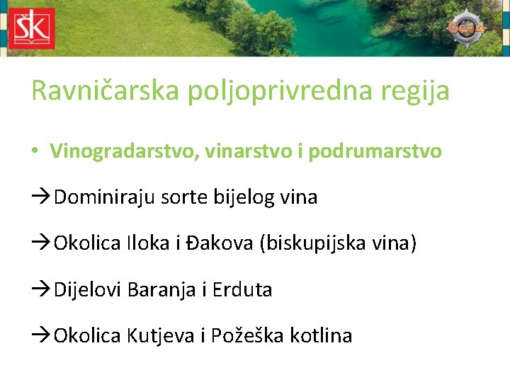 Ravničarska poljoprivredna regija • Vinogradarstvo, vinarstvo i podrumarstvo Dominiraju sorte bijelog vina Okolica Iloka