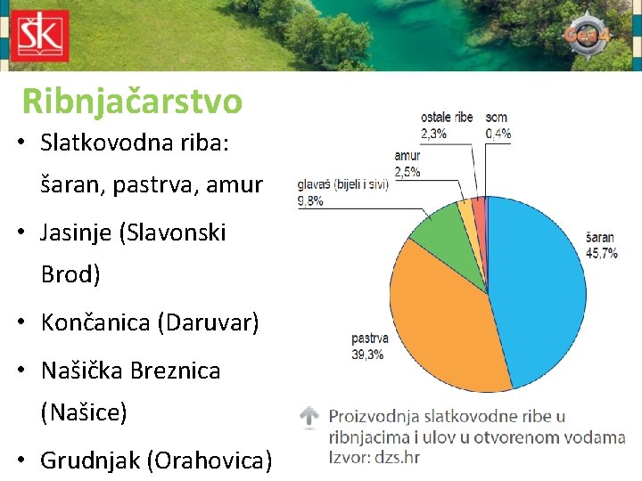 Ribnjačarstvo • Slatkovodna riba: šaran, pastrva, amur • Jasinje (Slavonski Brod) • Končanica (Daruvar)