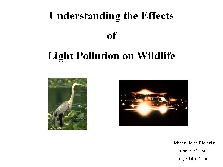 Understanding the Effects of Light Pollution on Wildlife Johnny Noles, Biologist Chesapeake Bay mysids@aol.