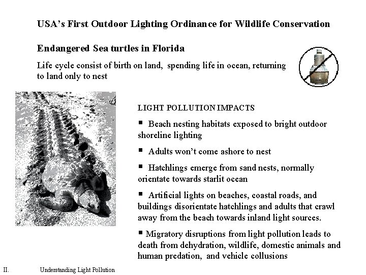 USA’s First Outdoor Lighting Ordinance for Wildlife Conservation Endangered Sea turtles in Florida Life