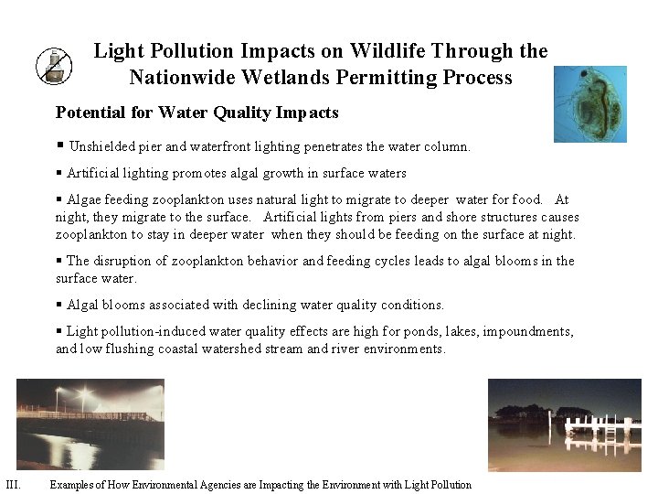Light Pollution Impacts on Wildlife Through the Nationwide Wetlands Permitting Process Potential for Water