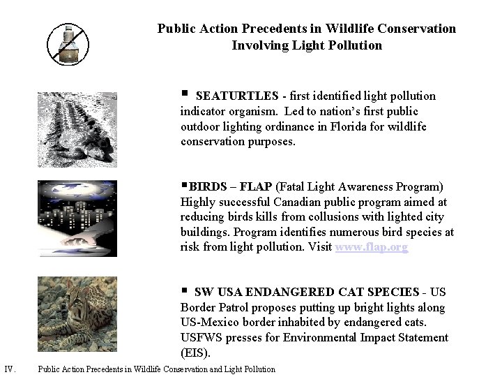 Public Action Precedents in Wildlife Conservation Involving Light Pollution § SEATURTLES - first identified