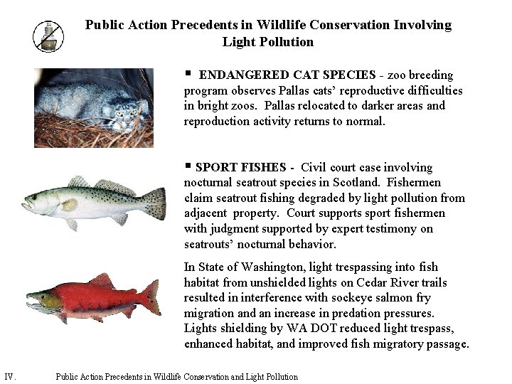 Public Action Precedents in Wildlife Conservation Involving Light Pollution § ENDANGERED CAT SPECIES -