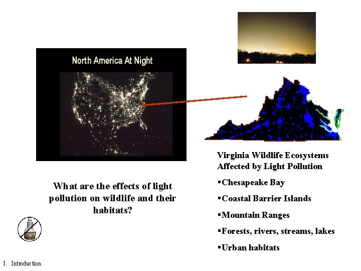 Virginia Wildlife Ecosystems Affected by Light Pollution What are the effects of light pollution