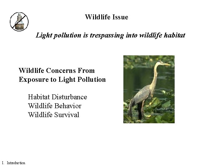 Wildlife Issue Light pollution is trespassing into wildlife habitat Wildlife Concerns From Exposure to