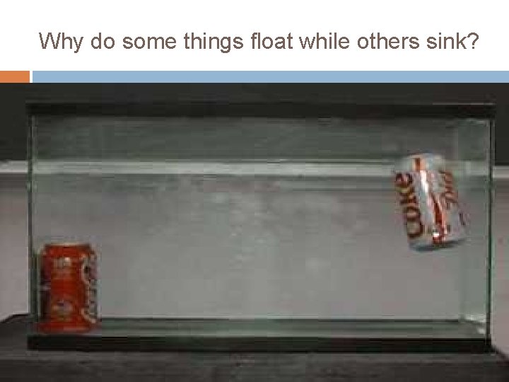 Why do some things float while others sink? 