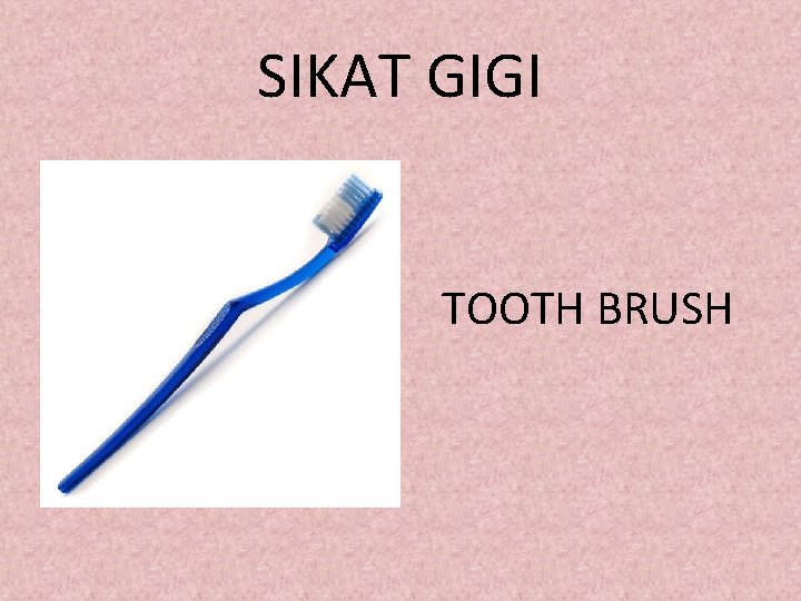 SIKAT GIGI TOOTH BRUSH 