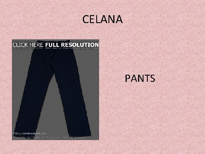 CELANA PANTS 