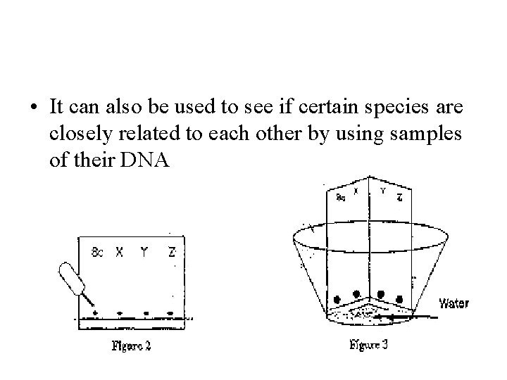  • It can also be used to see if certain species are closely