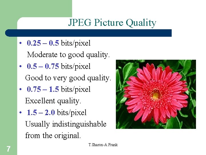 JPEG Picture Quality • 0. 25 – 0. 5 bits/pixel Moderate to good quality.