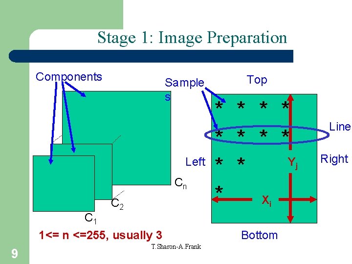 Stage 1: Image Preparation Components Sample s Left Cn C 2 * * *