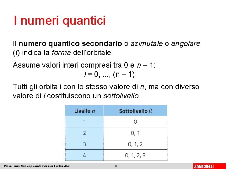 I numeri quantici Il numero quantico secondario o azimutale o angolare (l) indica la