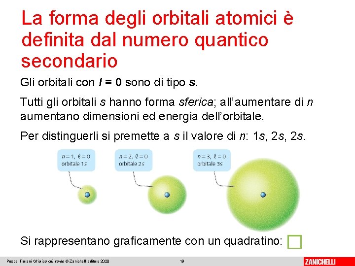 La forma degli orbitali atomici è definita dal numero quantico secondario Gli orbitali con