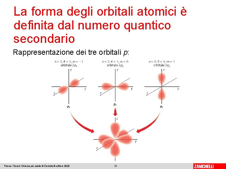 La forma degli orbitali atomici è definita dal numero quantico secondario Rappresentazione dei tre