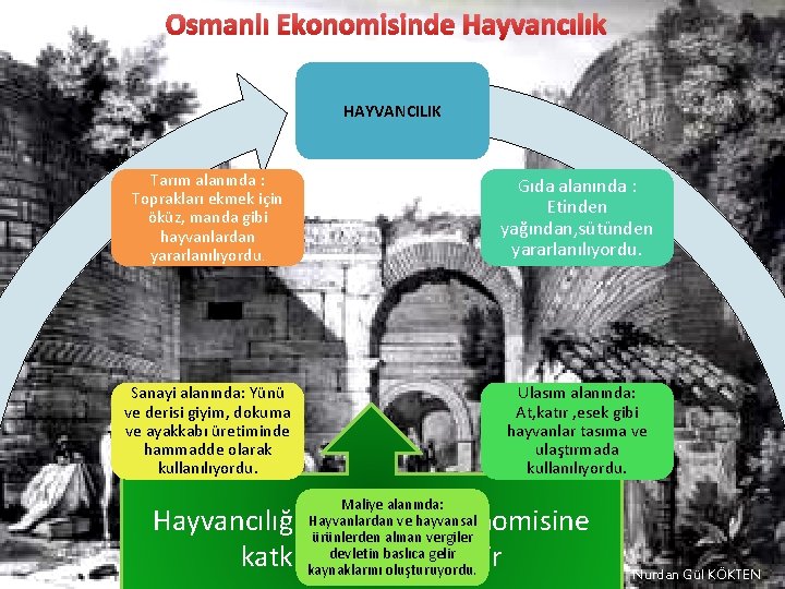 Osmanlı Ekonomisinde Hayvancılık HAYVANCILIK Tarım alanında : Toprakları ekmek için öküz, manda gibi hayvanlardan
