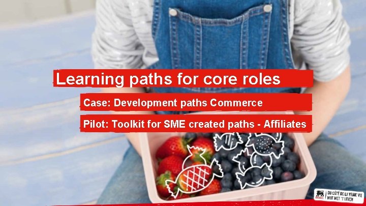 Learning paths for core roles Case: Development paths Commerce Pilot: Toolkit for SME created