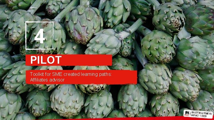 4 PILOT Toolkit for SME created learning paths: Affiliates advisor 12 