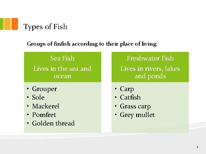 Types of Fish Groups of finfish according to their place of living: Sea Fish
