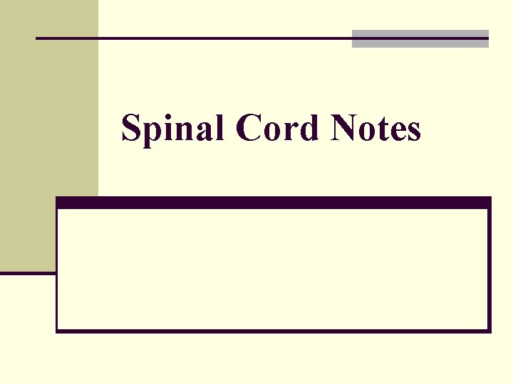 Spinal Cord Notes 