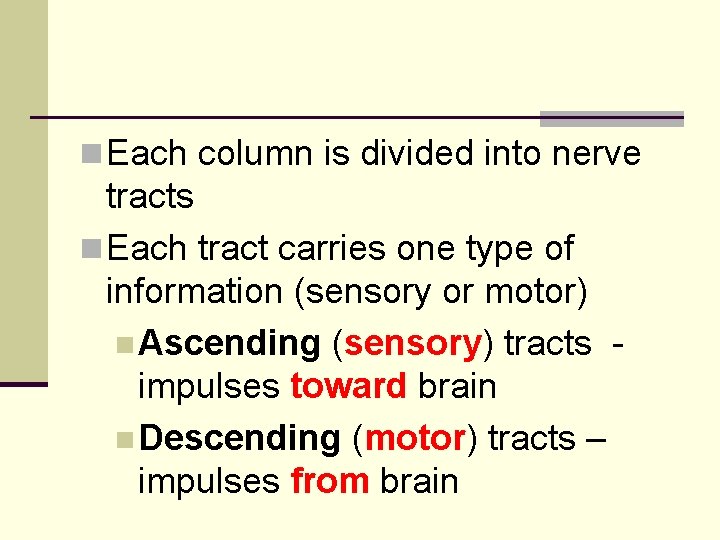 n Each column is divided into nerve tracts n Each tract carries one type