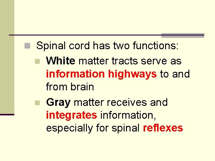 n Spinal cord has two functions: n n White matter tracts serve as information