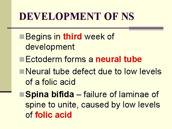 DEVELOPMENT OF NS n Begins in third week of development n Ectoderm forms a