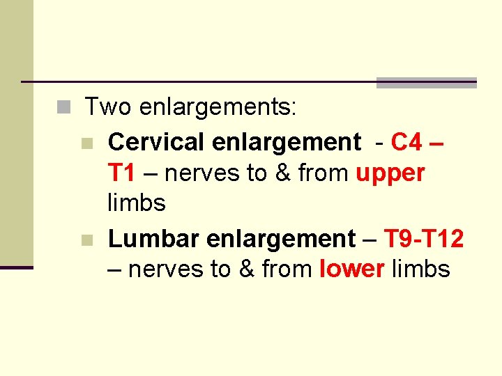 n Two enlargements: n n Cervical enlargement - C 4 – T 1 –