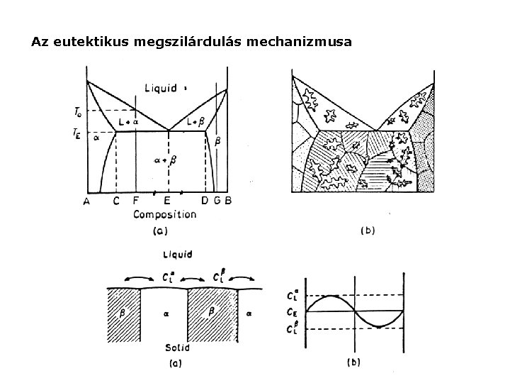 Az eutektikus megszilárdulás mechanizmusa 