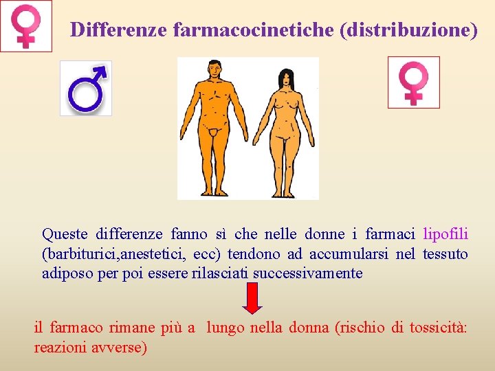 Differenze farmacocinetiche (distribuzione) Queste differenze fanno sì che nelle donne i farmaci lipofili (barbiturici,