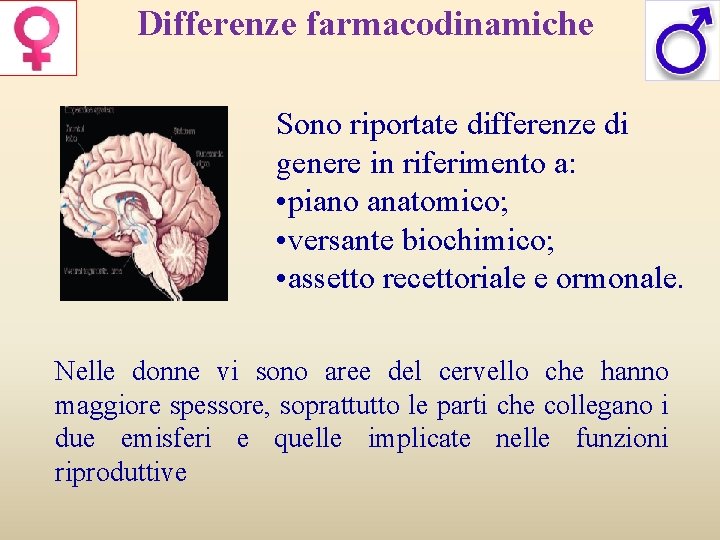 Differenze farmacodinamiche Sono riportate differenze di genere in riferimento a: • piano anatomico; •