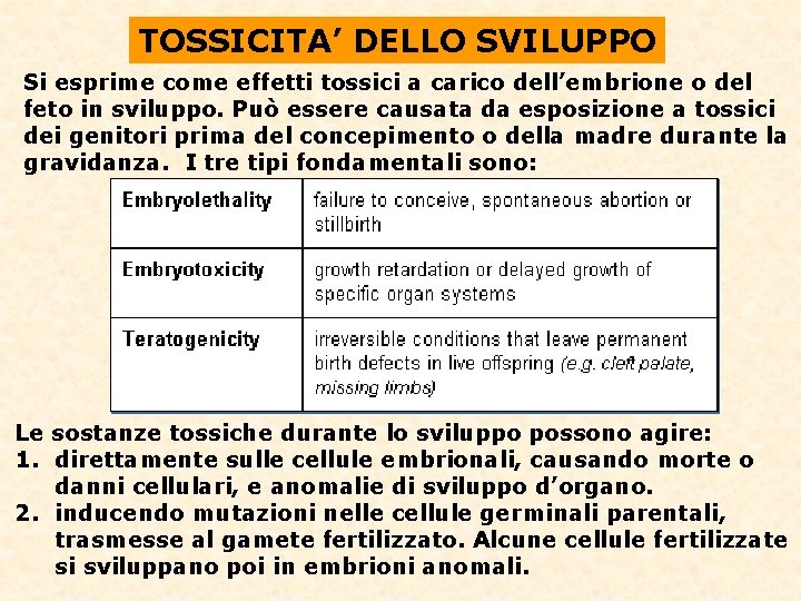 TOSSICITA’ DELLO SVILUPPO Si esprime come effetti tossici a carico dell’embrione o del feto