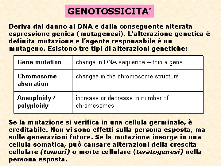 GENOTOSSICITA’ Deriva dal danno al DNA e dalla conseguente alterata espressione genica (mutagenesi). L’alterazione