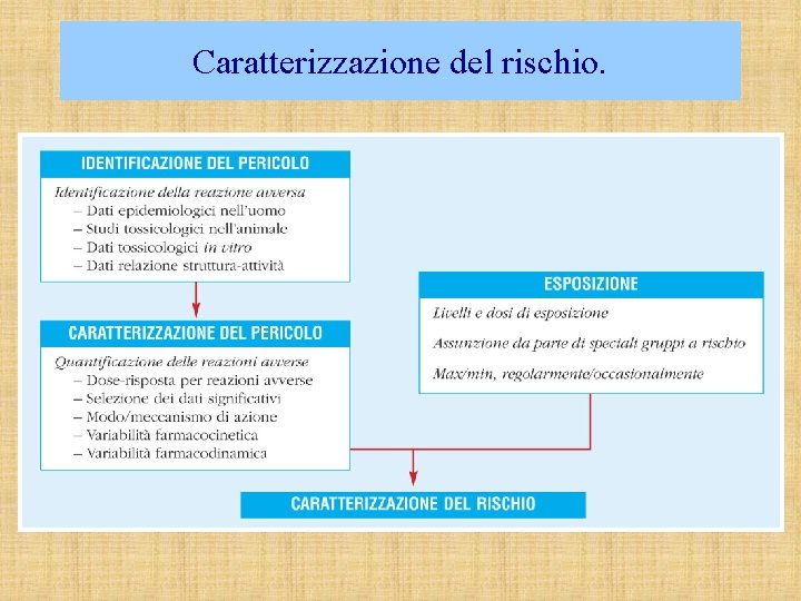 Caratterizzazione del rischio. 